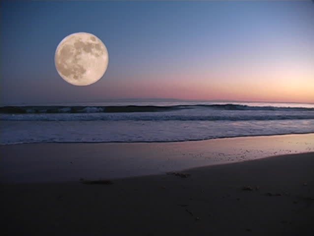 Full Moon Night Landscape With Forest Lake. Stock Footage ...