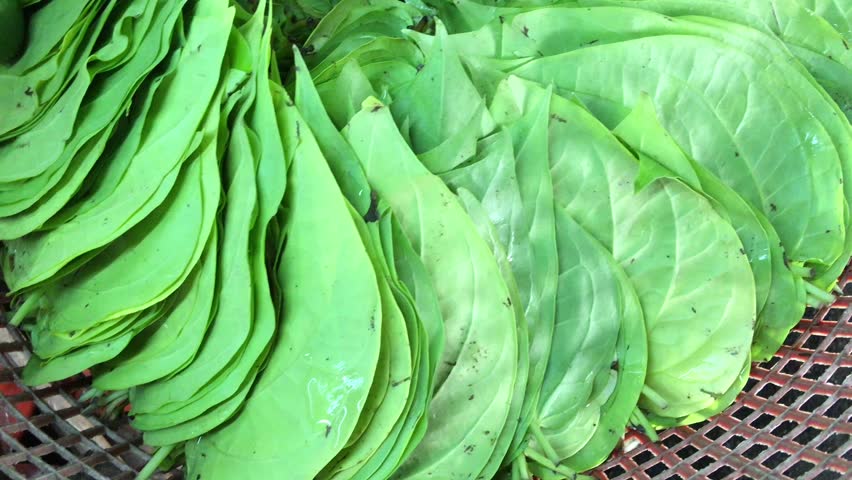 Header of betel