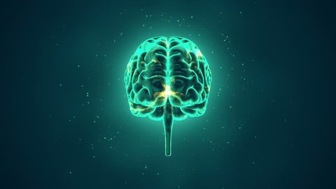 Abstract Background Animation Rotation Human Brain Stock Footage Video  (100% Royalty-free) 14858080 | Shutterstock