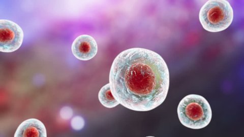 Human Cells 3d Animation Stock Footage Video (100% Royalty-free) 14984650 | Shutterstock Human Cells 3d Animation Stock Footage Video (100% Royalty-free) 14984650 | Shutterstock