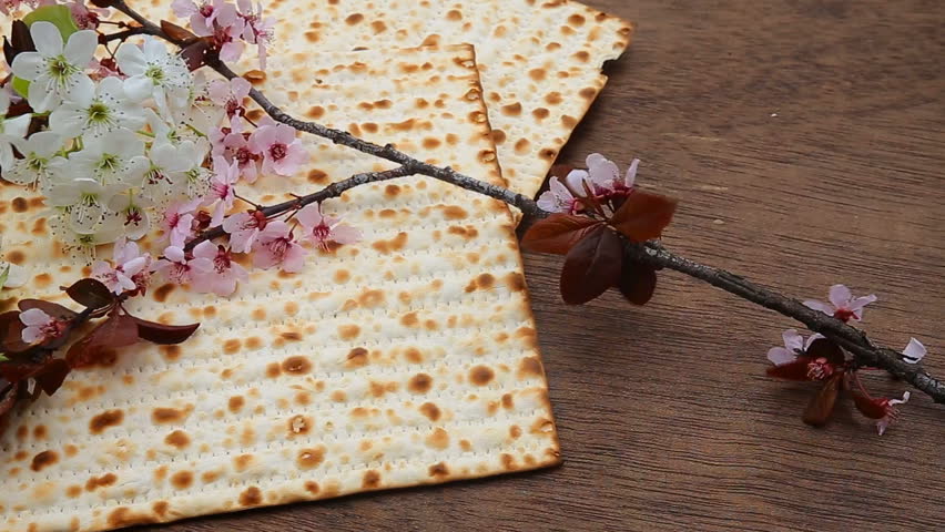 Header of matzo