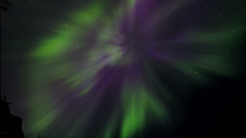 Header of corona