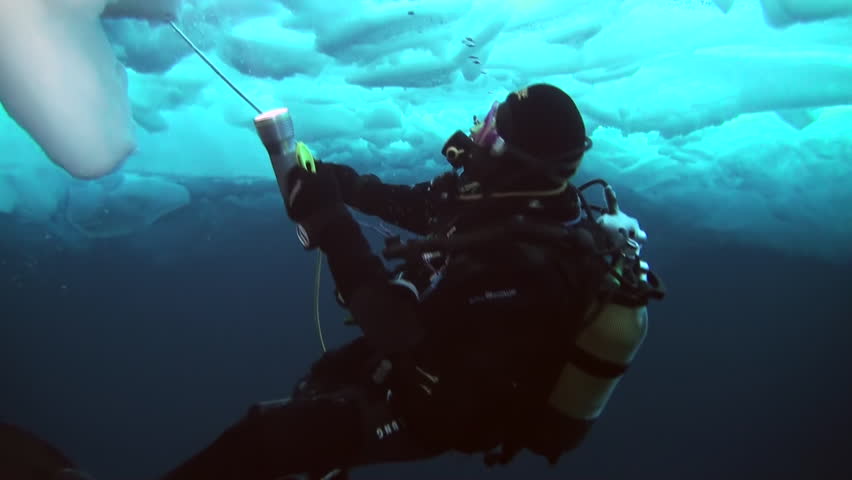 deepsea under the pole