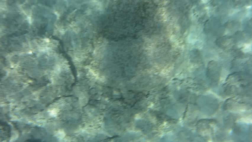 Calm Water Texture aquamarine calm water seamless background stock footage video Calm Water Texture aquamarine calm water seamless background stock footage video