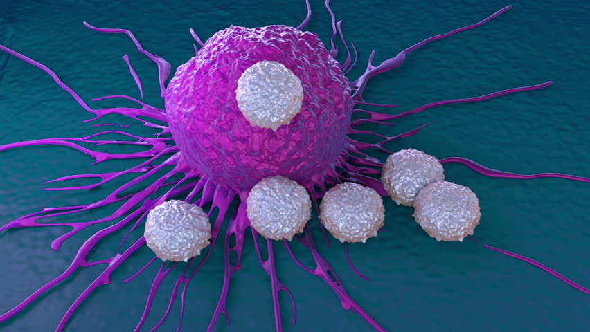 T-cells Attacking Cancer Cell Illustration Of Microscopic Video ...