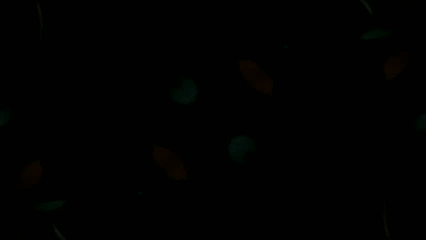 fancy black background