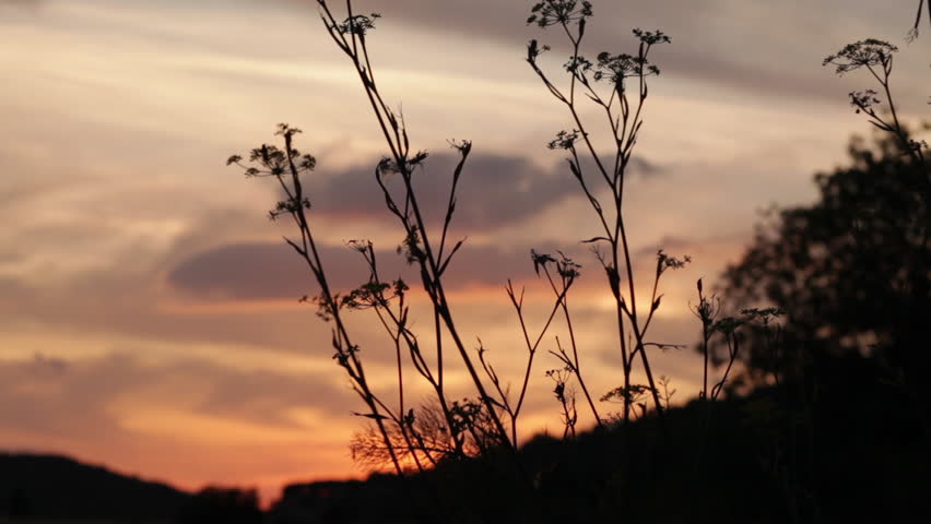 Header of Umbrian