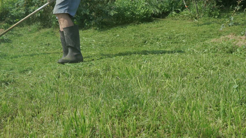 Worker With Protective Clothing Cutting Grass With Grass Cutter Machine ...