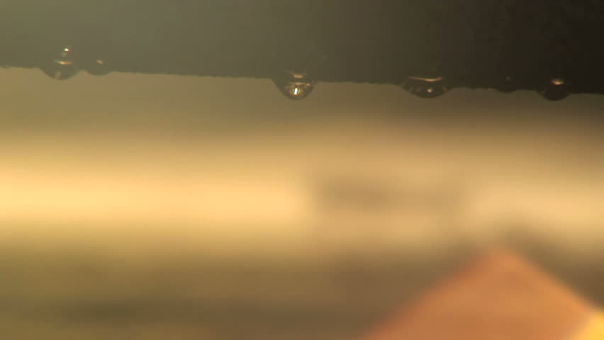 Header of Dewey