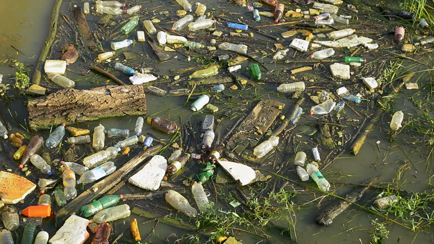 Trash And Garbage Floating On The Surface Of The Water. Water Pollution ...