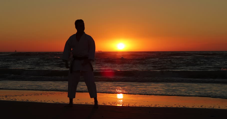 Resultado de imagen de karate beach