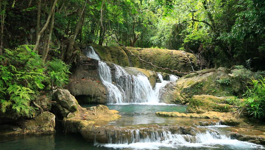 Tropical Rainforest Paradise Background. Mountain River Flows Through Green Jungle Lush ... Tropical Rainforest Paradise Background. Mountain River Flows Through Green Jungle Lush ...