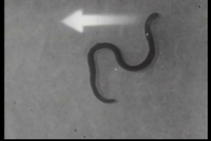 Header of tropism