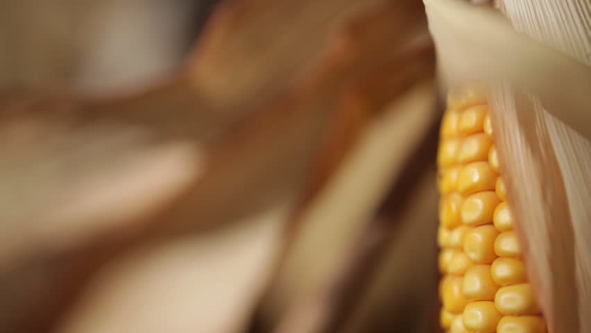 Header of corncob