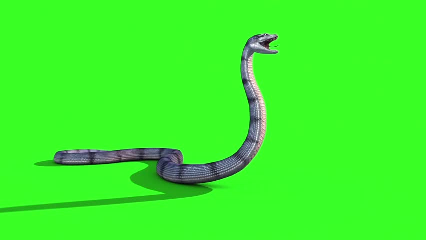 green screen snake video download