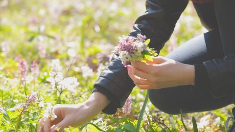 Pick is flower. Picking Flowers картинка. I am picking Flowers. Picking Flowers from a Flower Bed. Picking Flowers перевод.