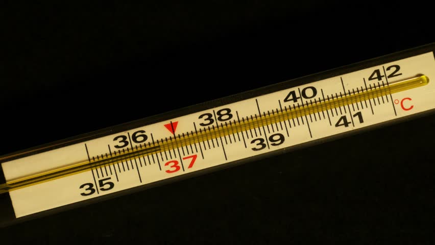 Resultado de imagem para thermometer to measure a table,