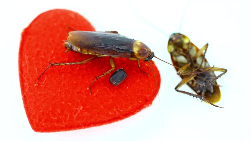 Header of uncouple