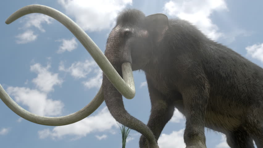 Header of mammoth
