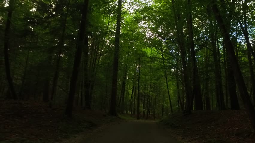 بنویس