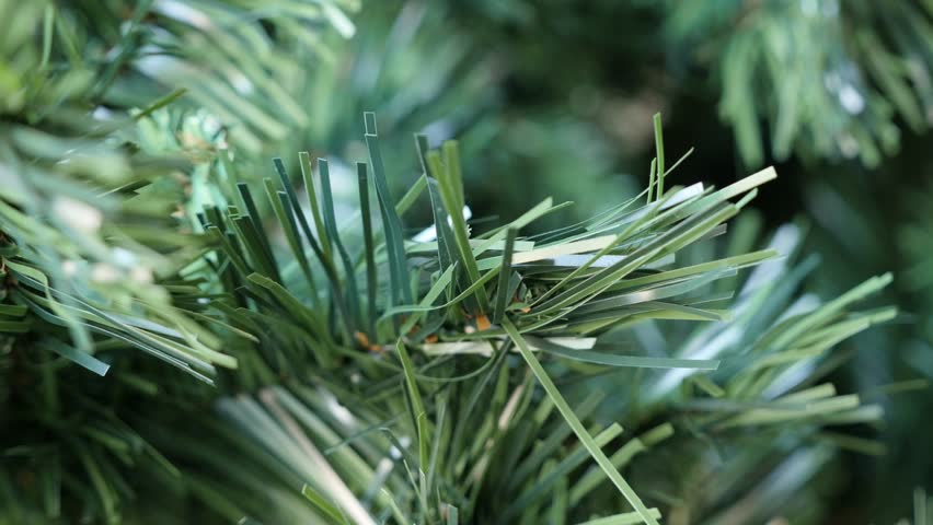 Artificial Decorative Spruce Details Slow Stock Footage Video 100