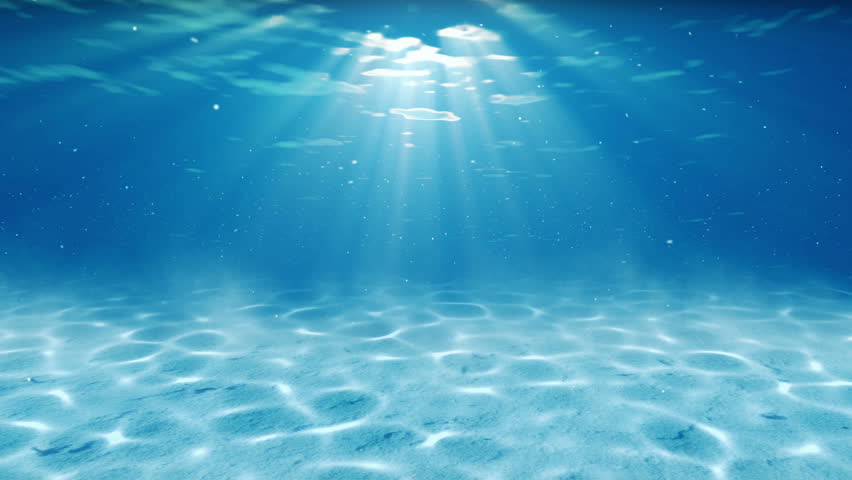 Underwater Scene. Summer Travel Background. Stock Footage ...