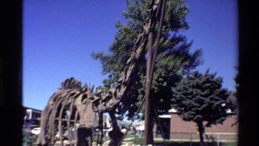 Header of sauropod