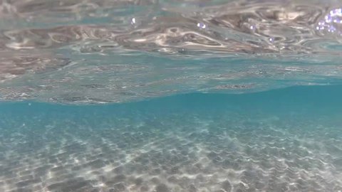 Quay phim dưới nước đang trở thành một xu hướng mới với những khám phá đầy màu sắc và đẹp mắt. Được trang bị công nghệ hiện đại cùng với máy quay chuyên dụng và kỹ thuật điều chỉnh vật lý dưới nước, các video dưới đây sẽ đưa bạn đến không gian bên dưới đại dương tuyệt vời.