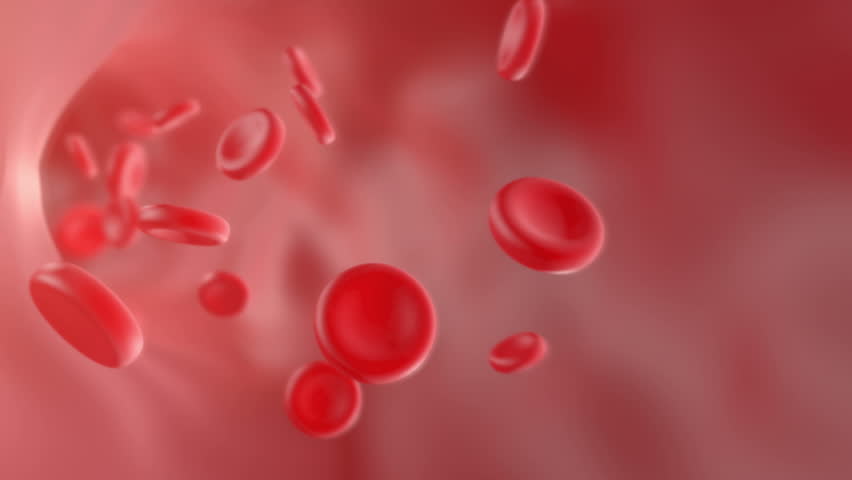 Blood Flowing Through the Arteries, Stock Footage Video (100% Royalty