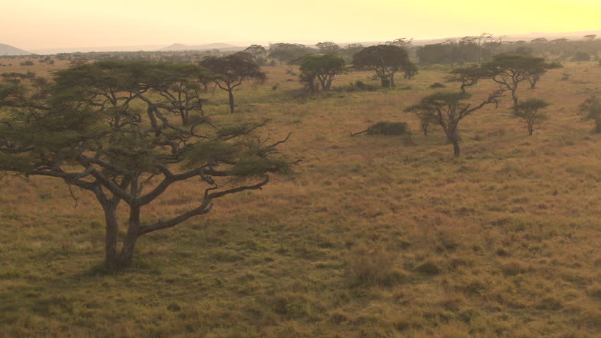 AERIAL: Flying High Above Stunning African Wilderness, Endless Savannah ...