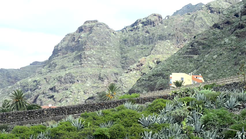 Header of barranca