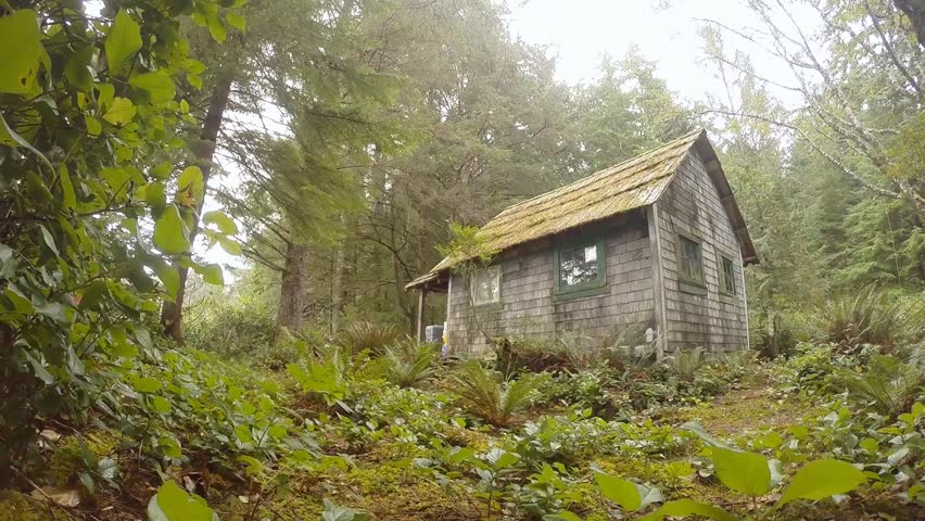 Old Trappers Cabin In The Stock Footage Video 100 Royalty Free