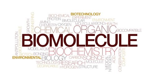 Biomolecule Animated Word Cloud Text Design Stock Footage Video (100% Royalty-free) 23462890 | Shutterstock Biomolecule Animated Word Cloud Text Design Stock Footage Video (100% Royalty-free) 23462890 | Shutterstock