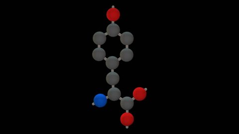 Ltyrosine Amino Acids 3d Animation Loop Stock Footage Video (100%  Royalty-free) 23488630 | Shutterstock