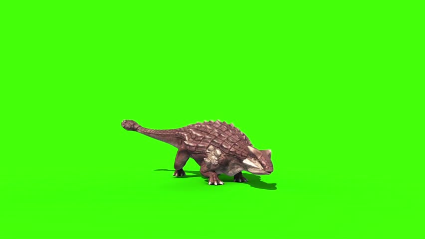 ankylosaurus fighting