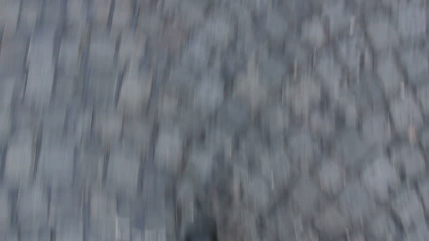 Header of fugitive