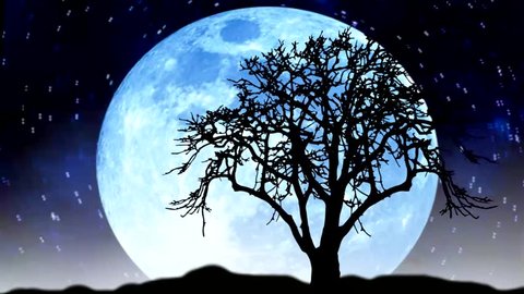 Cây trên nền tối hình ảnh ánh trăng: Chiêm ngưỡng hình ảnh chân thật của cây trên nền tối với ánh trăng sáng lấp lánh. Đây là một hình nền độc đáo và ấn tượng, khiến bạn cảm thấy như đang đặt chân vào một cảnh đại diện cho sự bình yên và thanh tịnh.