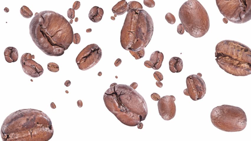 Stock Video Of Coffee Beans Falling Down On White Stock Video Of Coffee Beans Falling Down On White