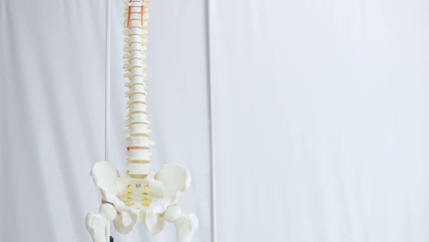 Header of replica