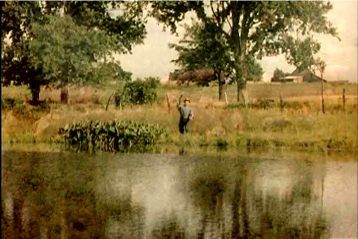 Header of self-sufficient