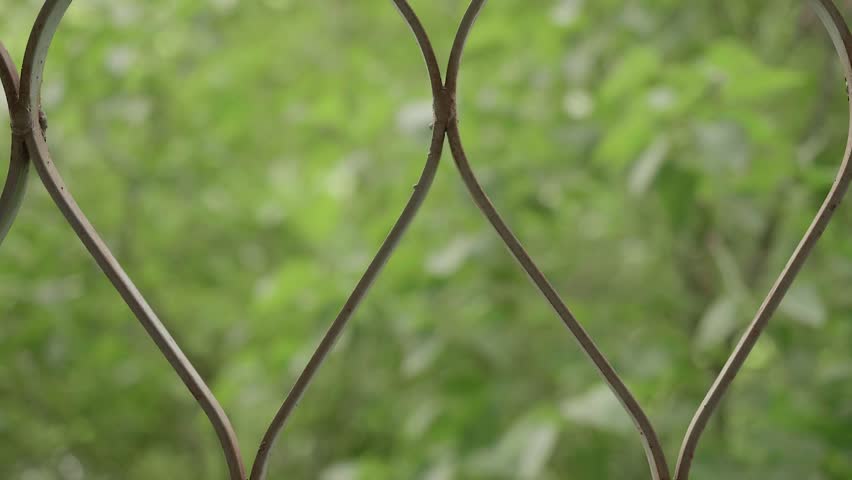 Header of treillage