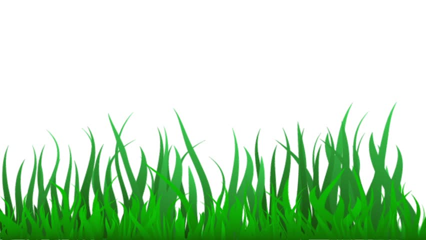 Cartoon Grass Background Top View - cartoon on net