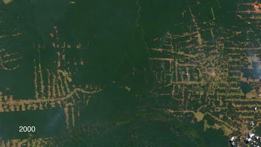 Header of comparative