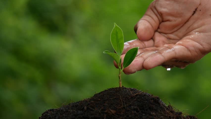 Охрана окружающей среды. Гармония человека и природы. Экология. Экология. Экологическая лампочка.