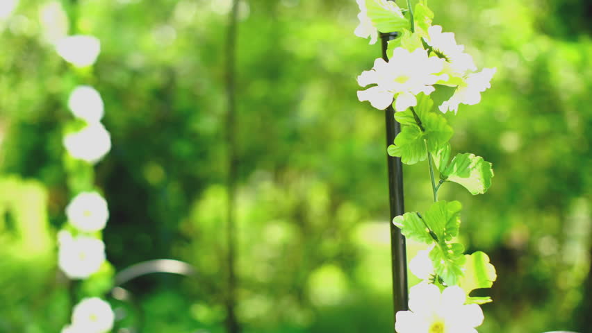 Header of arbor