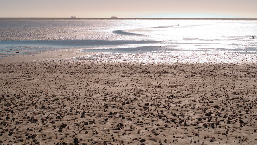 Header of migratory