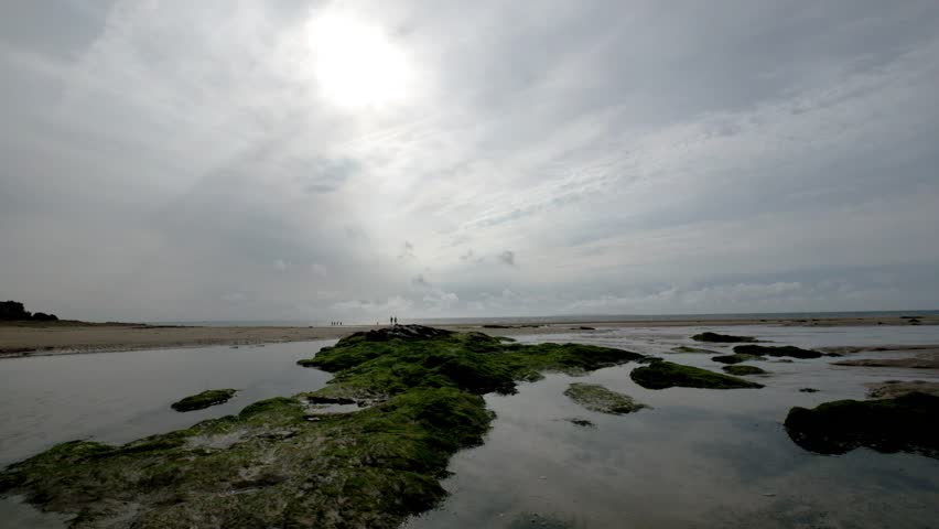 Header of plage