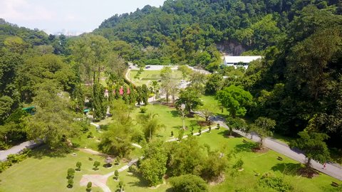 Penang Botanical Garden Stock Video Footage 4k And Hd Video
