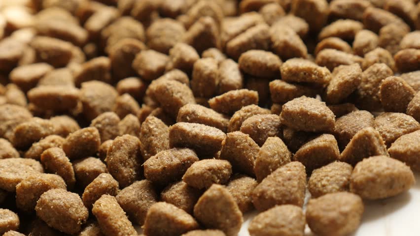 Pile Of Cat Or Dog Pellets Close-up 4k 2160p 30fps Ultrahd Tilting 