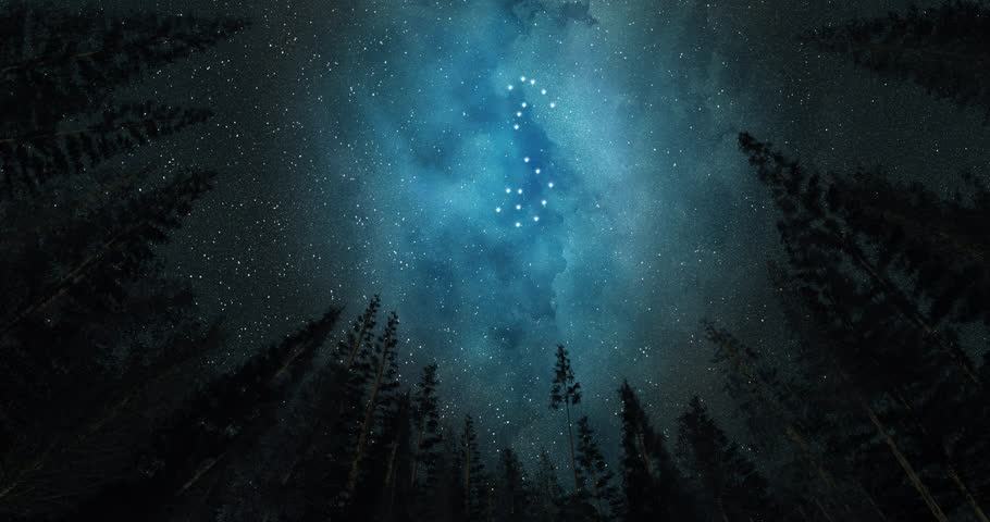 Constellation Scorpio Night Sky Stars Stock Footage 